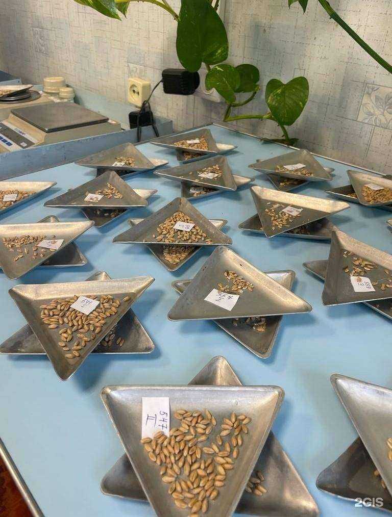 Отзывы на компанию Российский сельскохозяйственный центр в Ставрополе c фото