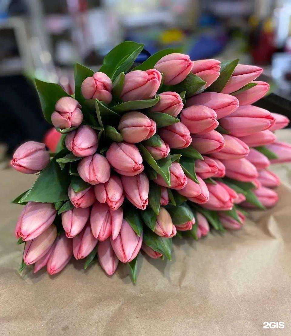 Отзывы на компанию Ромашка в Березниках c фото