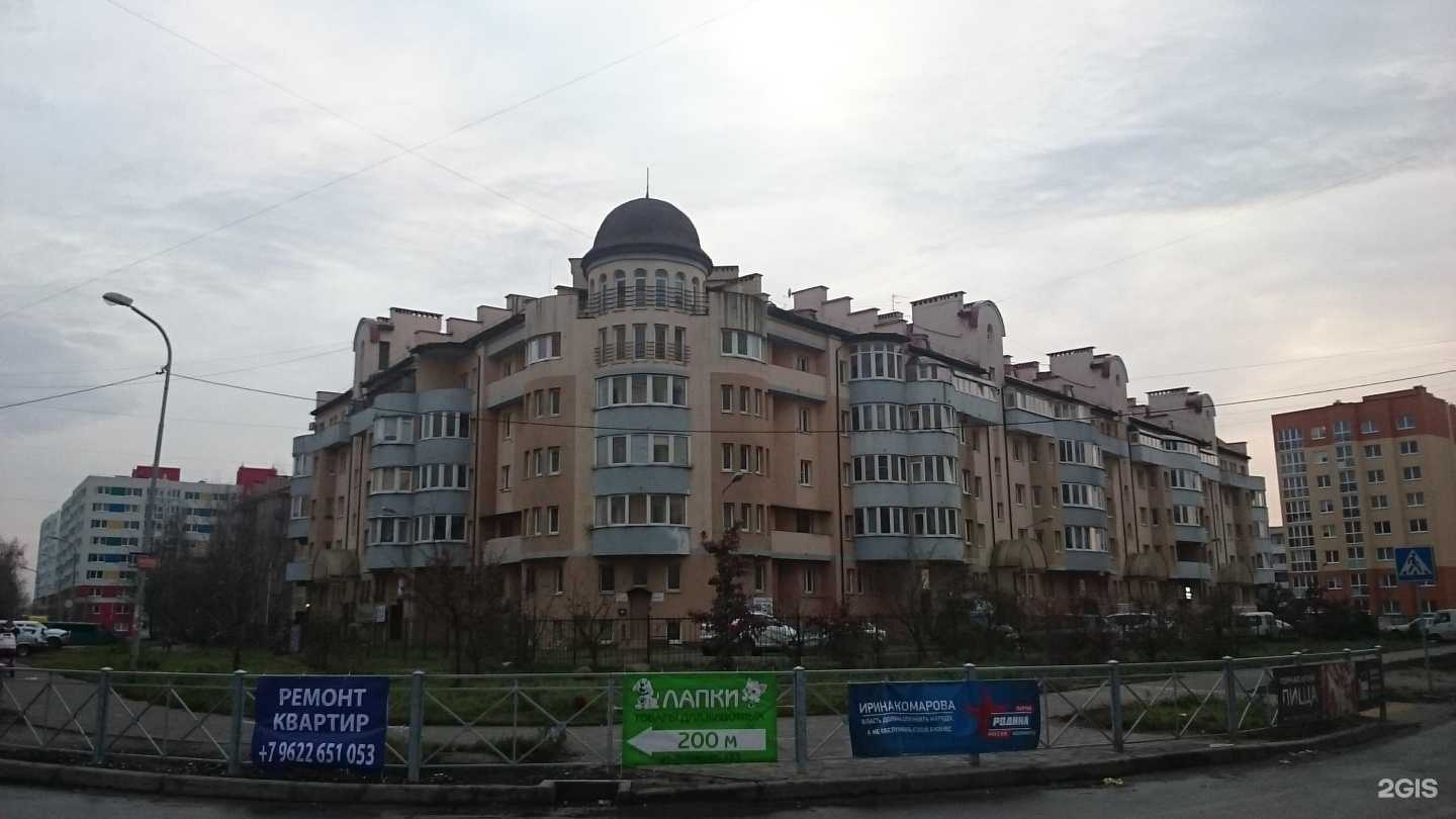 Отзывы на компанию Copy Cat в Калининграде c фото - фотография 2 из 2