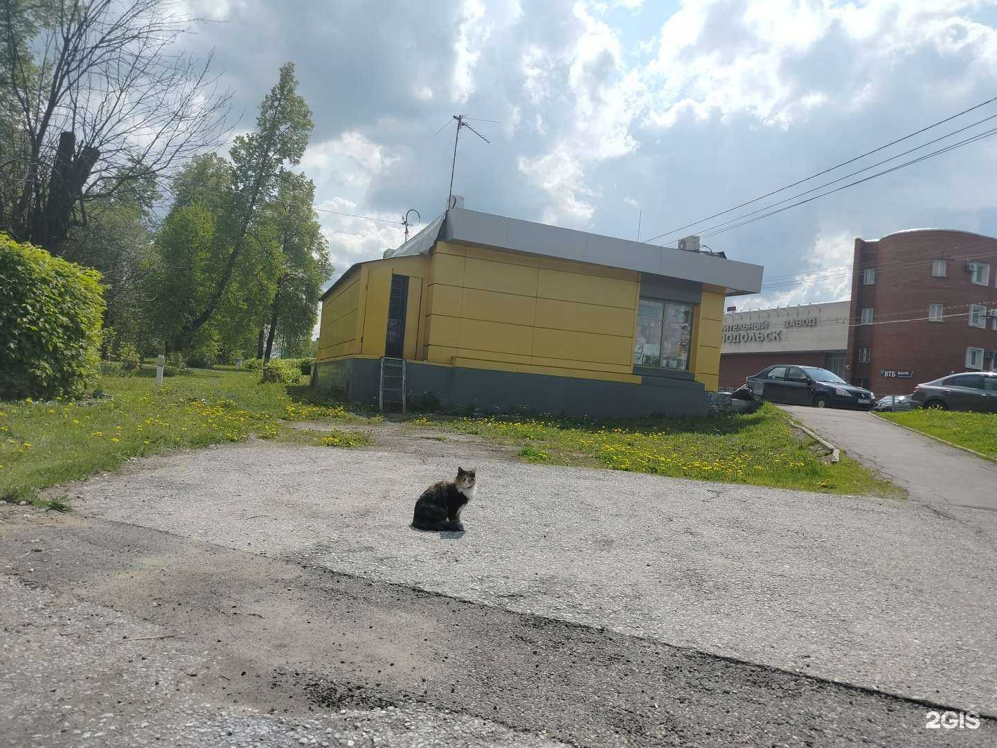 Отзывы на компанию Магазин цветов в Подольске c фото - фотография 2 из 2