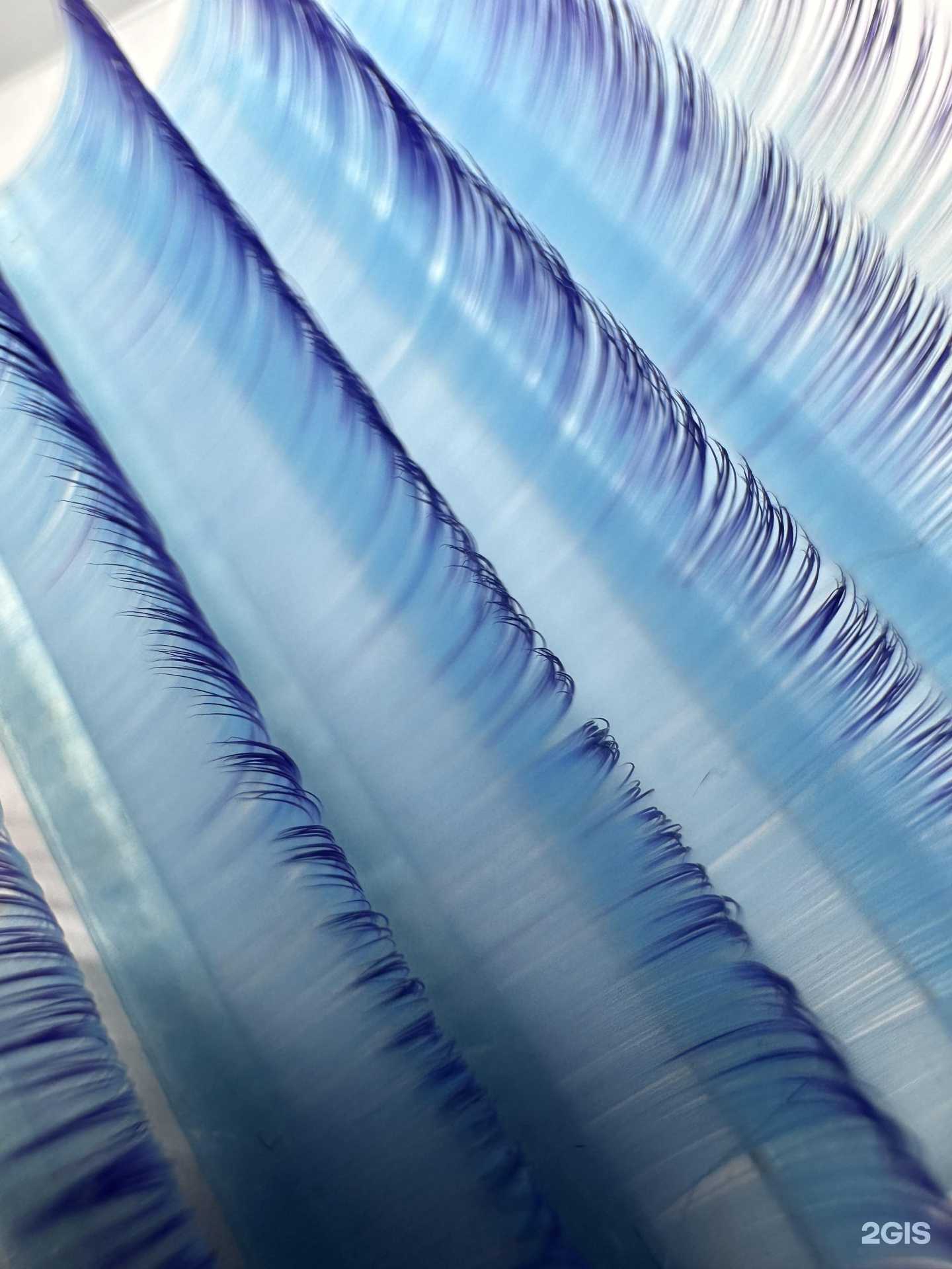 Отзывы на компанию Syndicate в Каменске-Уральском c фото