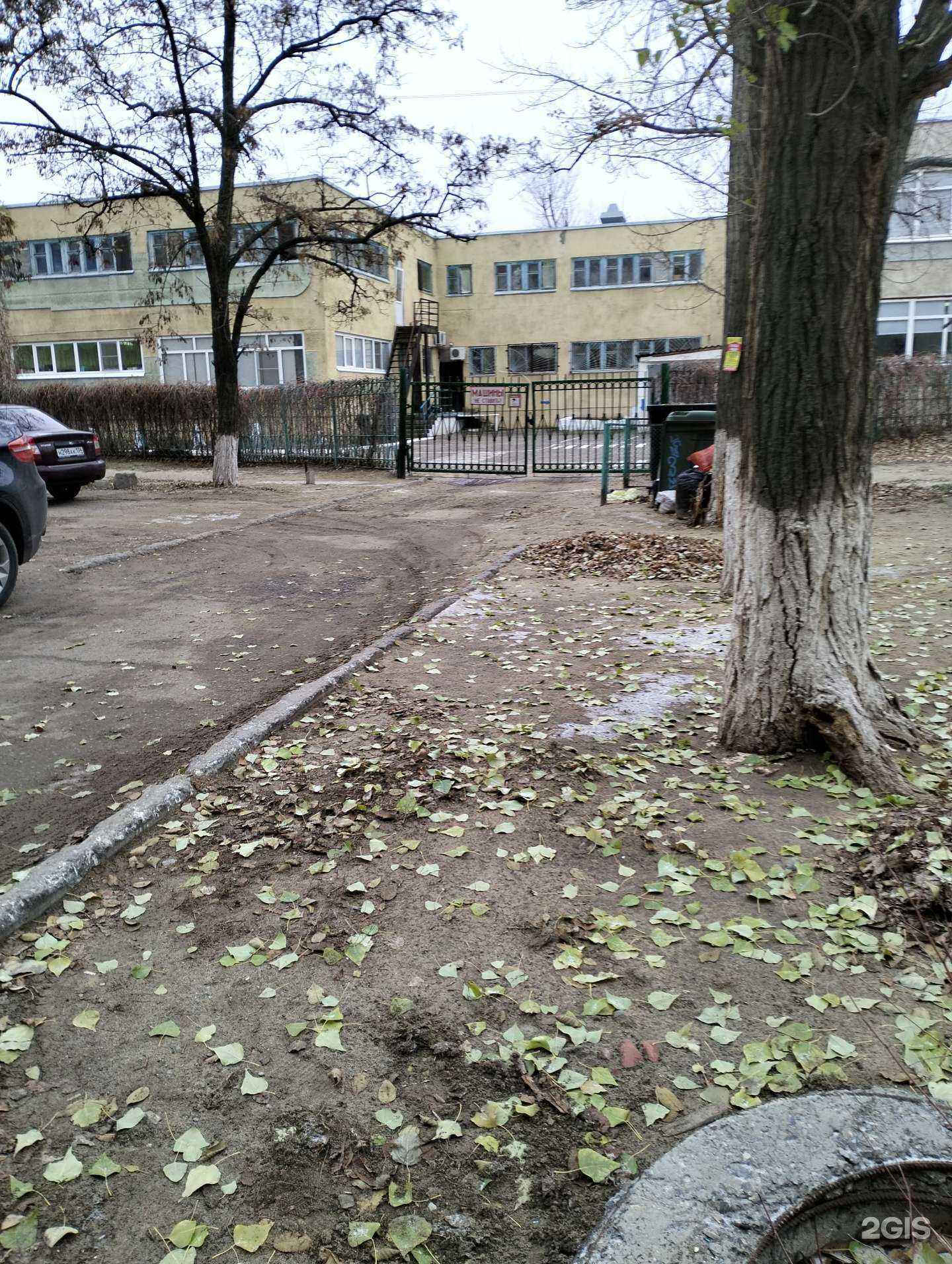 Отзывы на компанию Black Tigers в Волгограде c фото