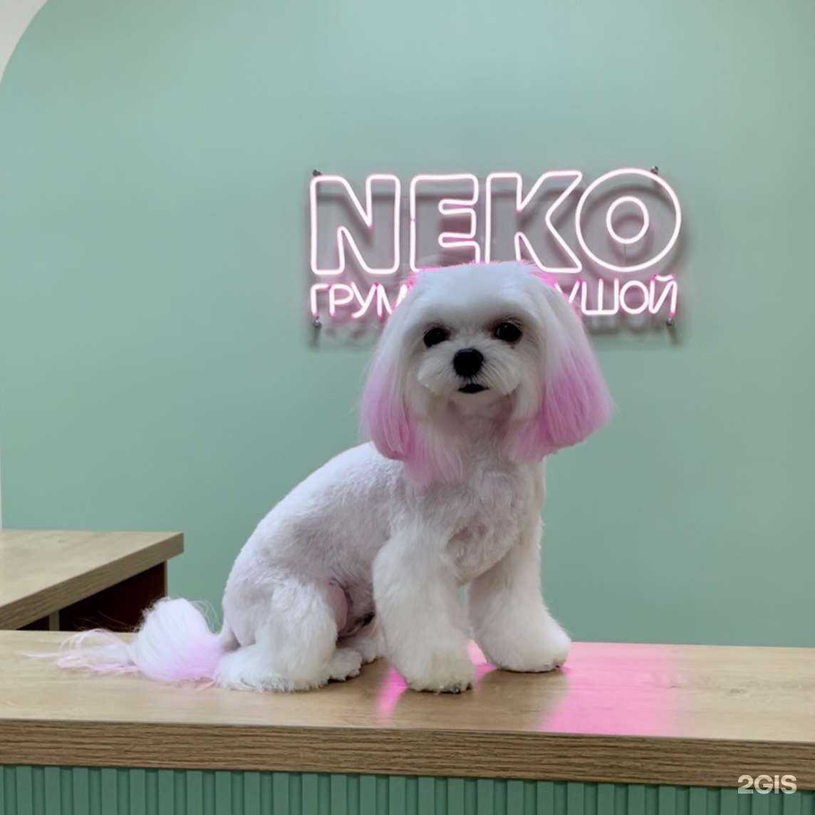 Отзывы на компанию Neko в г. Оренбург c фото