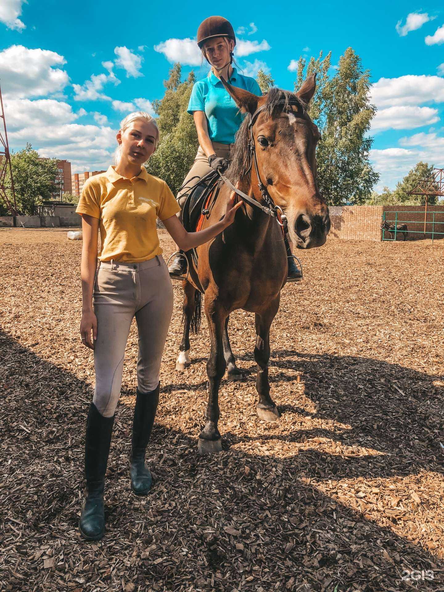 Отзывы на компанию Конная усадьба в Егорьевске c фото