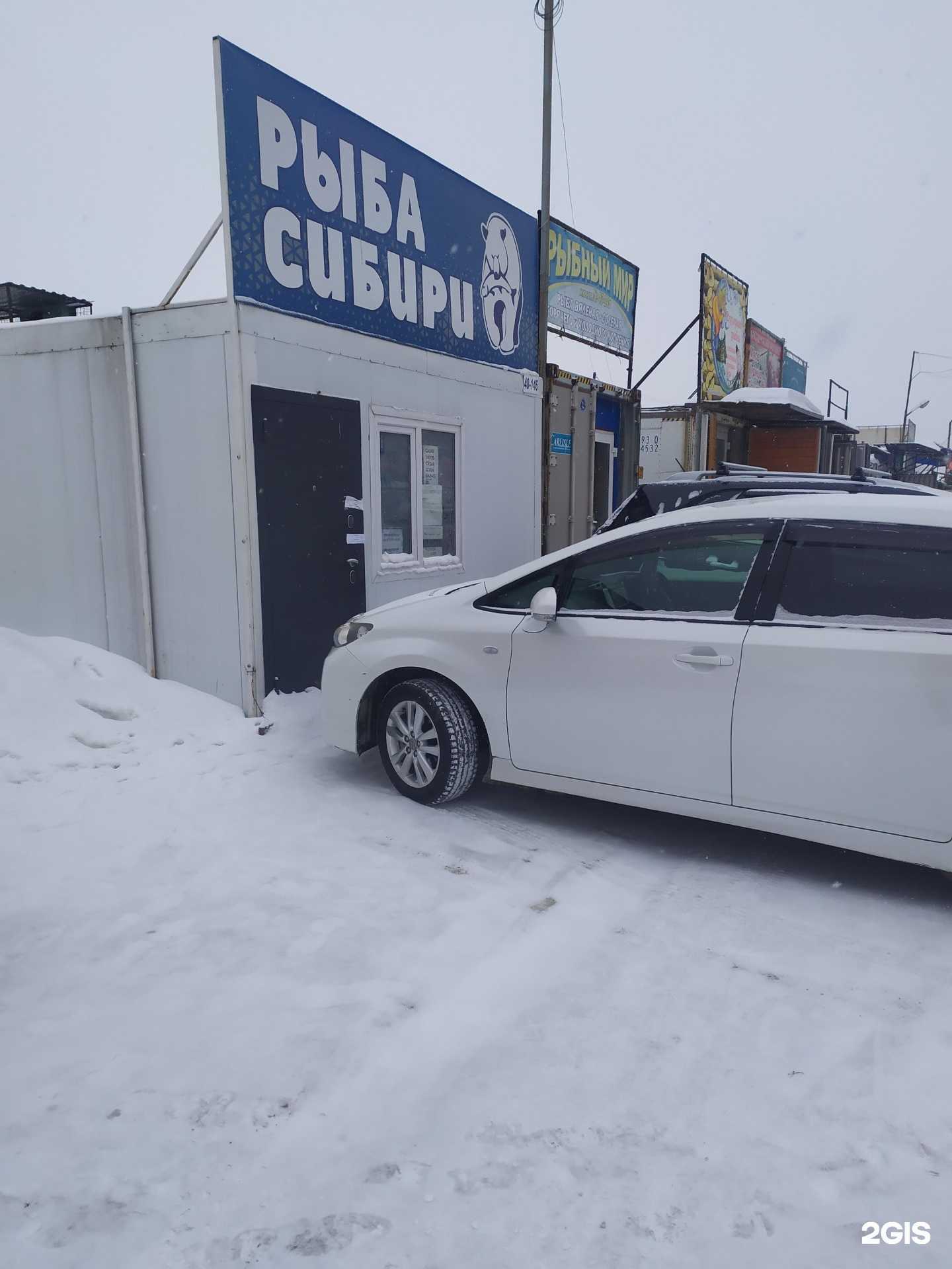 Отзывы на компанию Сударыня рыбка в г. Новосибирск c фото