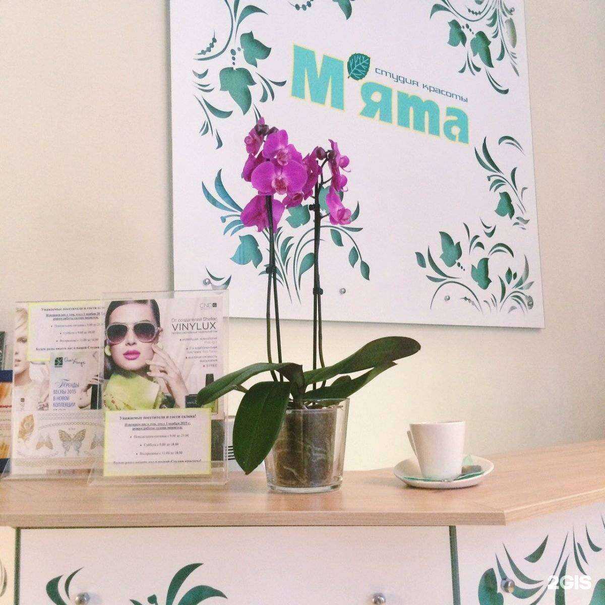 Отзывы на компанию Мята в Тольятти c фото