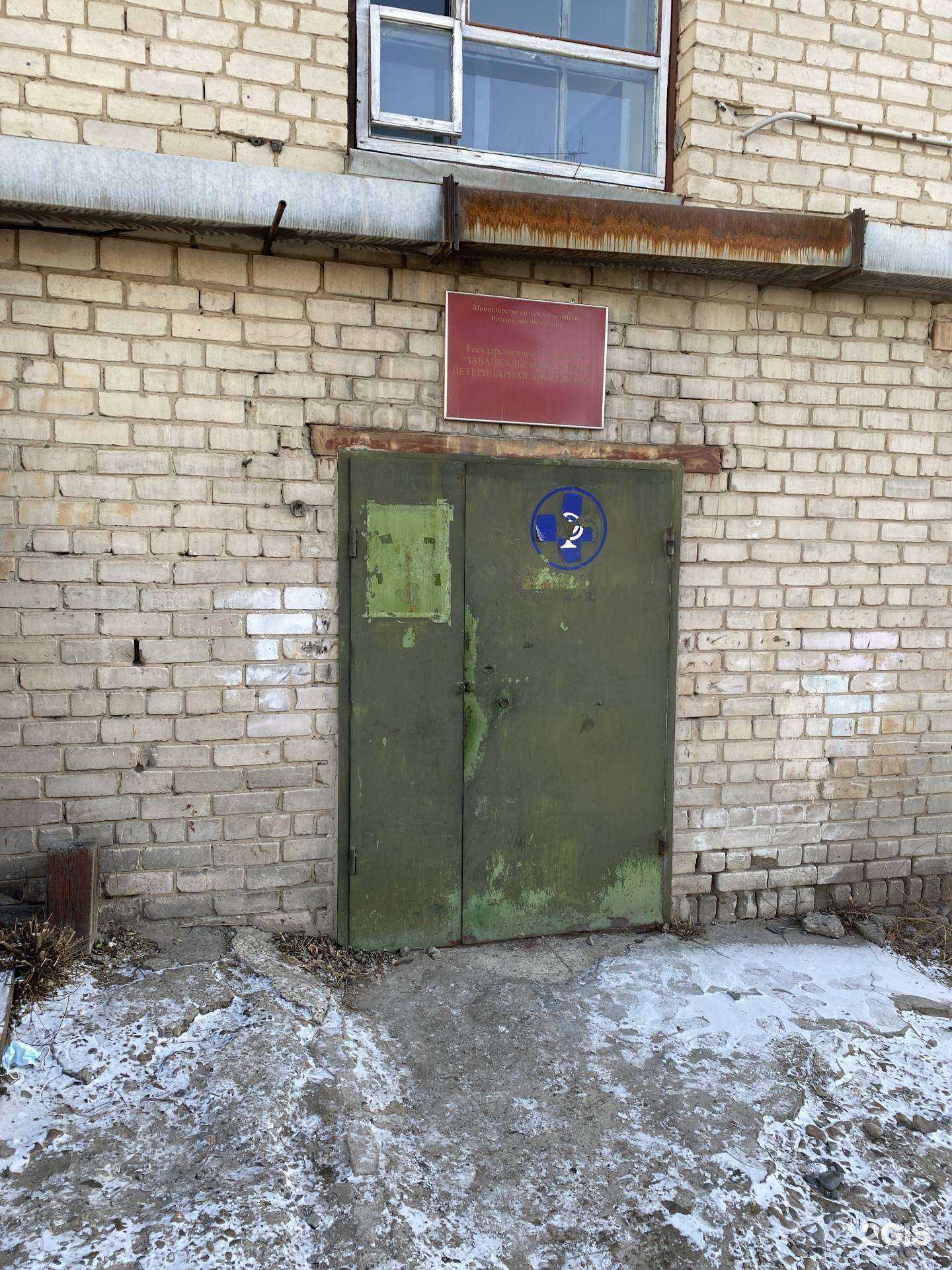 Отзывы на компанию Забайкальская краевая ветеринарная лаборатория в Чите c фото