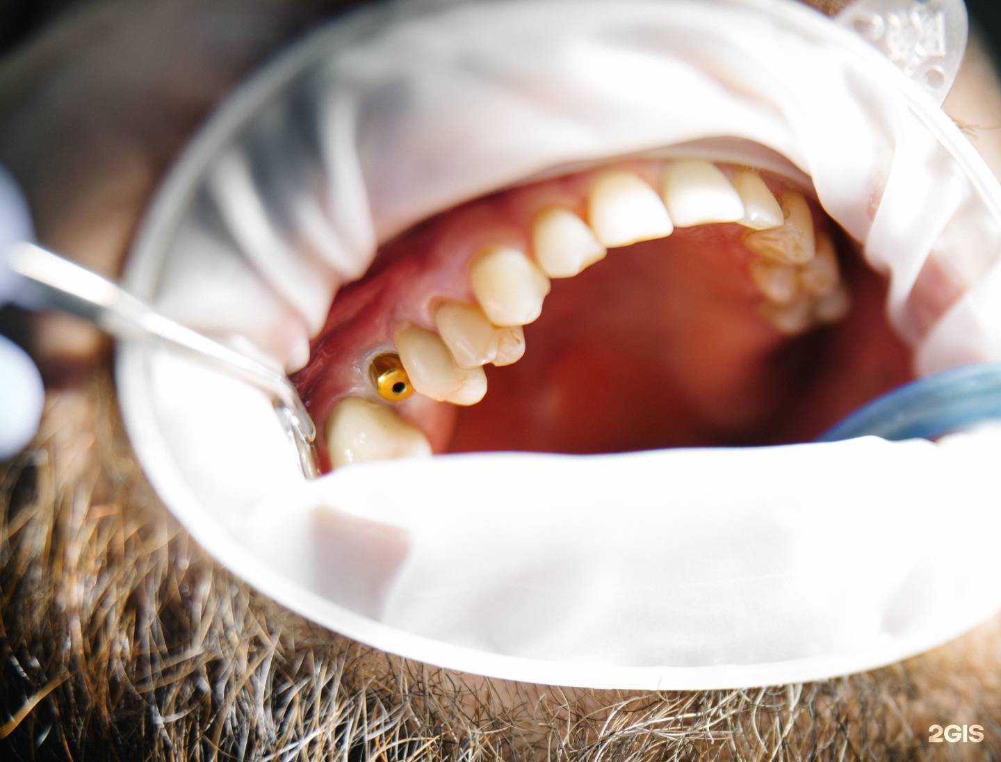 Отзывы на компанию Виола в Красноярске c фото