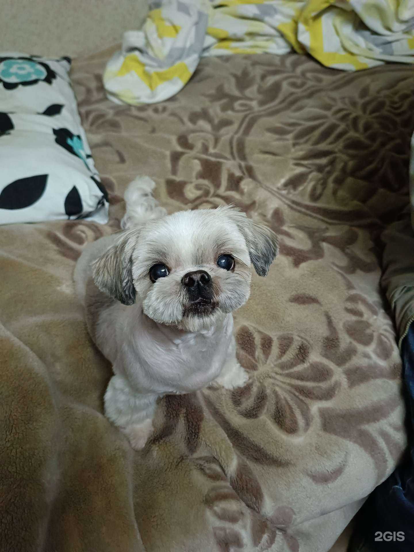 Отзывы на компанию Марсель  в г. Орехово-Зуево c фото