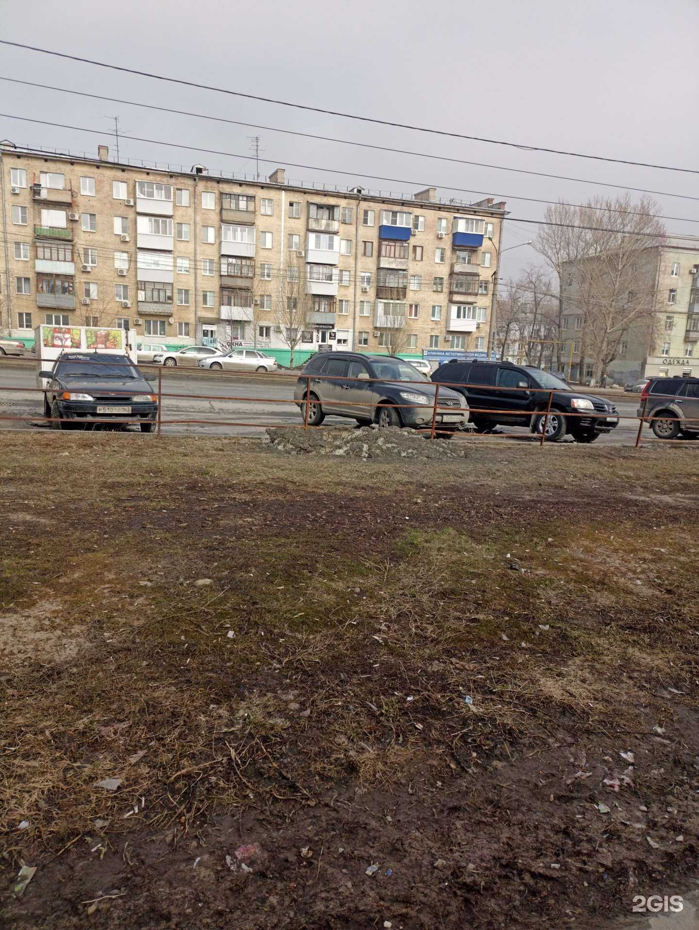 Отзывы на компанию Клиника ветеринарной медицины в Самаре c фото - фотография 2 из 2