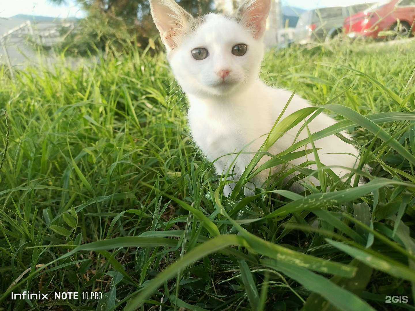 Отзывы на компанию Рио в г. Сочи c фото