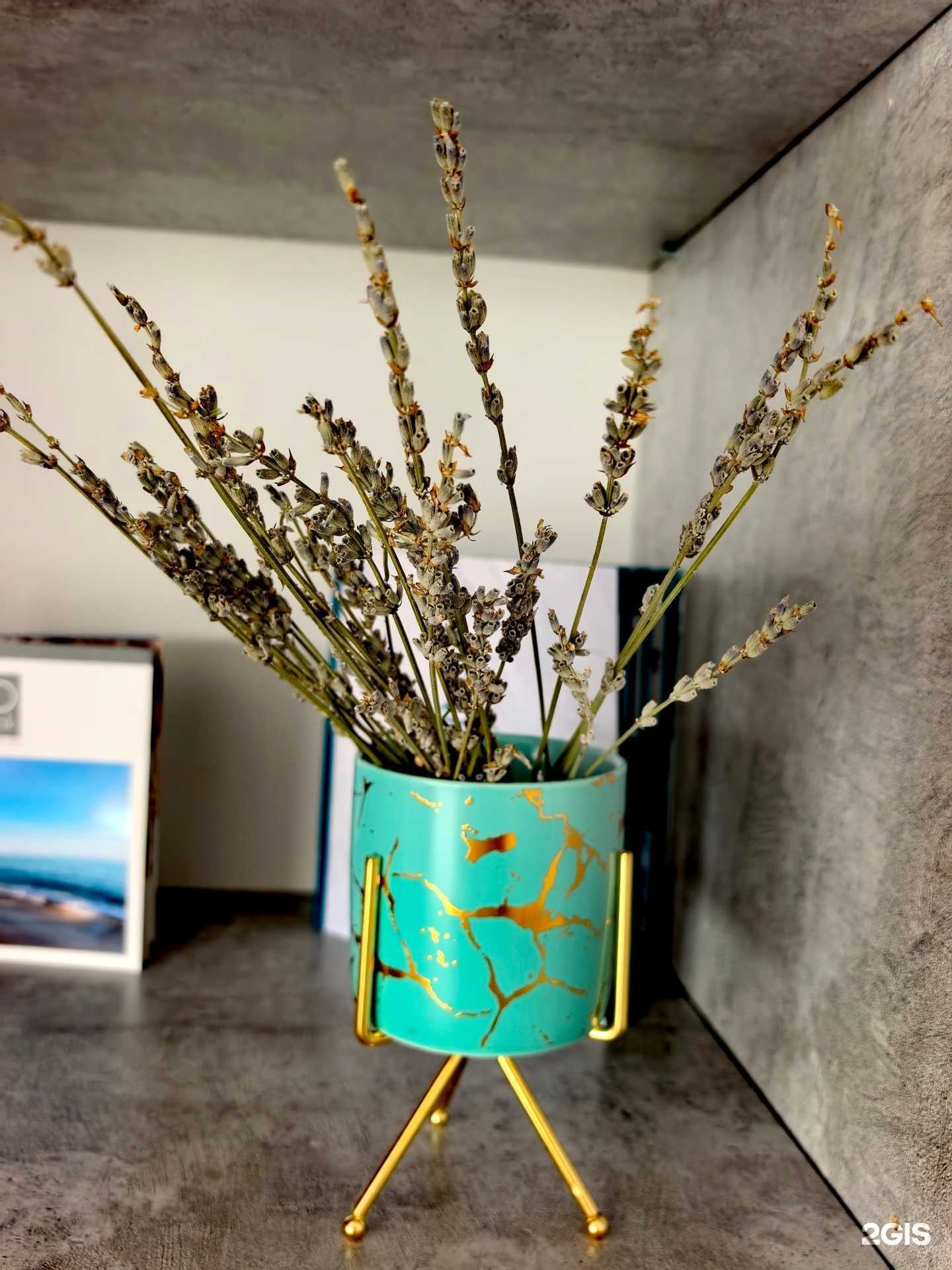 Отзывы на компанию Приват-Тур в Ростове-на-Дону c фото