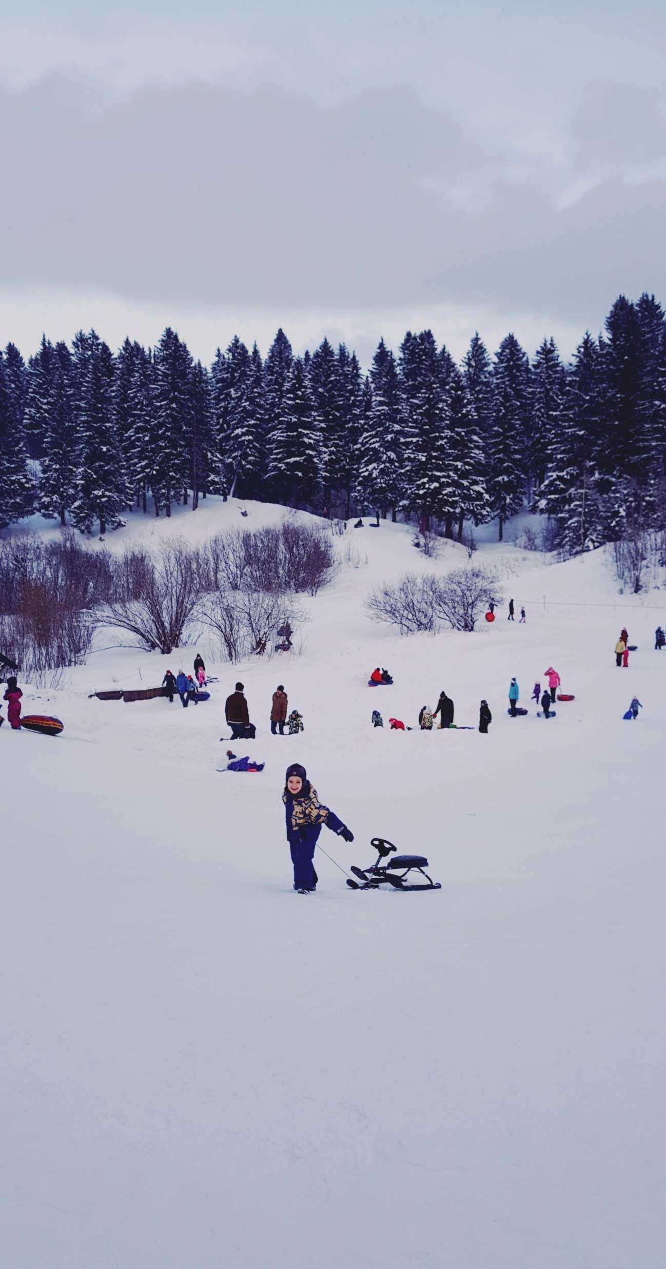 Отзывы на компанию Динамо в Перми c фото