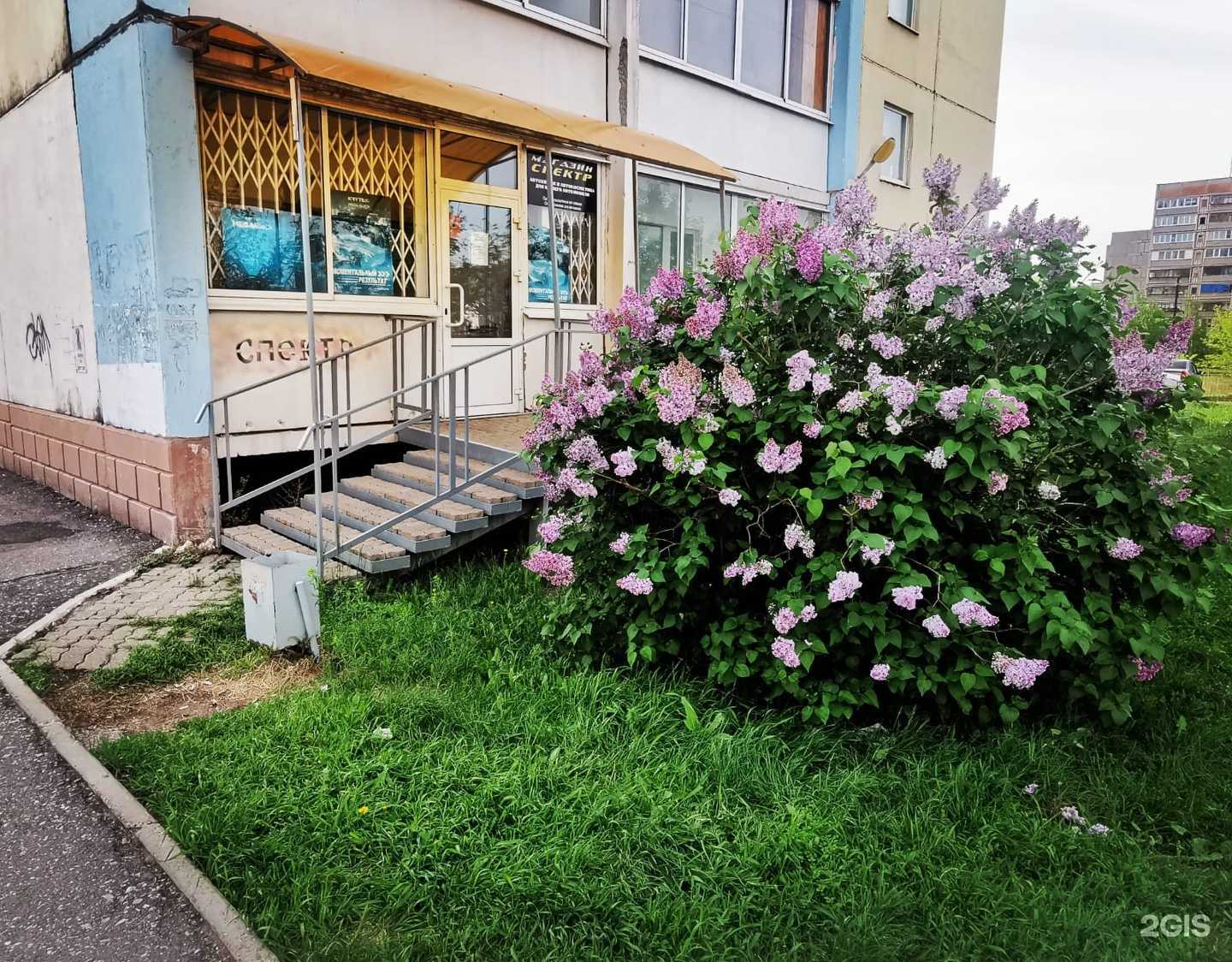 Отзывы на компанию Спектр в Магнитогорске c фото