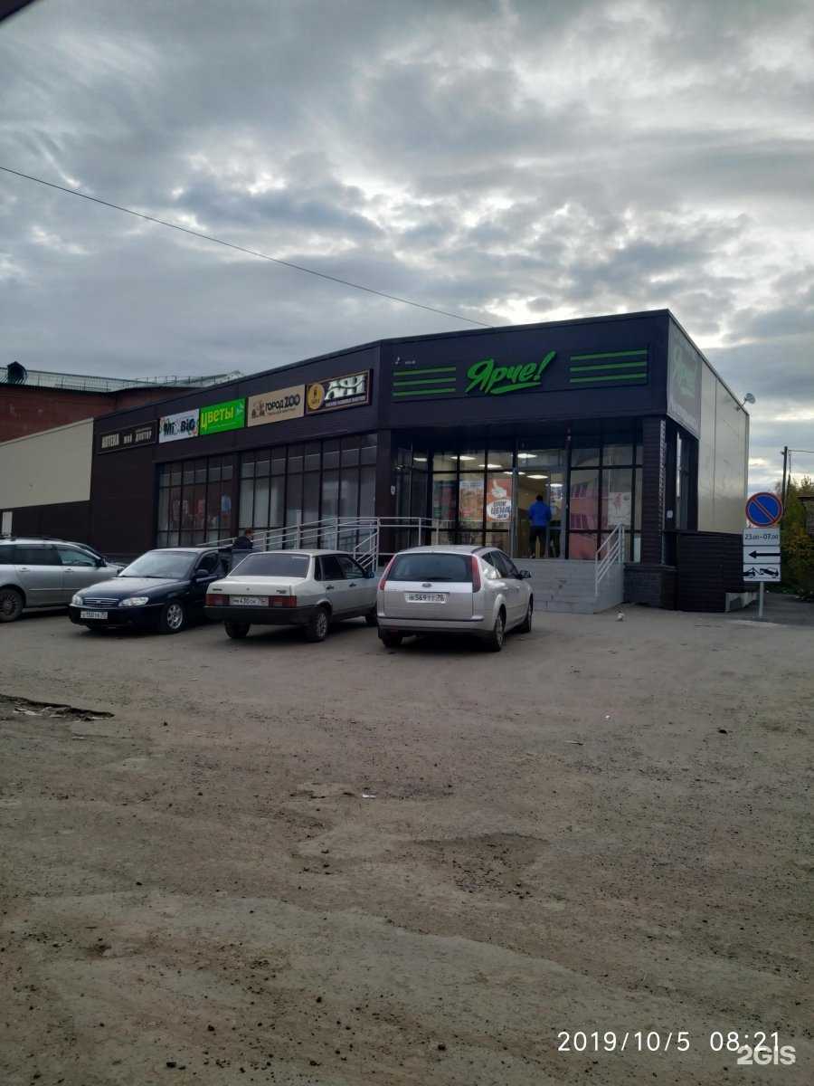 Отзывы на компанию 2собаки2кота в Томске c фото - фотография 2 из 2