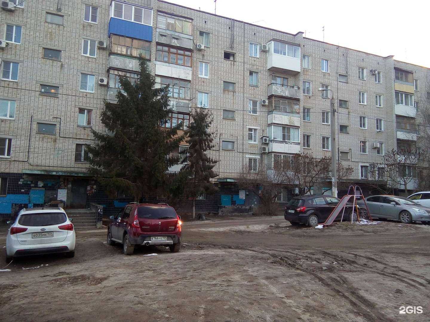 Отзывы на компанию Ежевика в Волгограде c фото - фотография 2 из 2