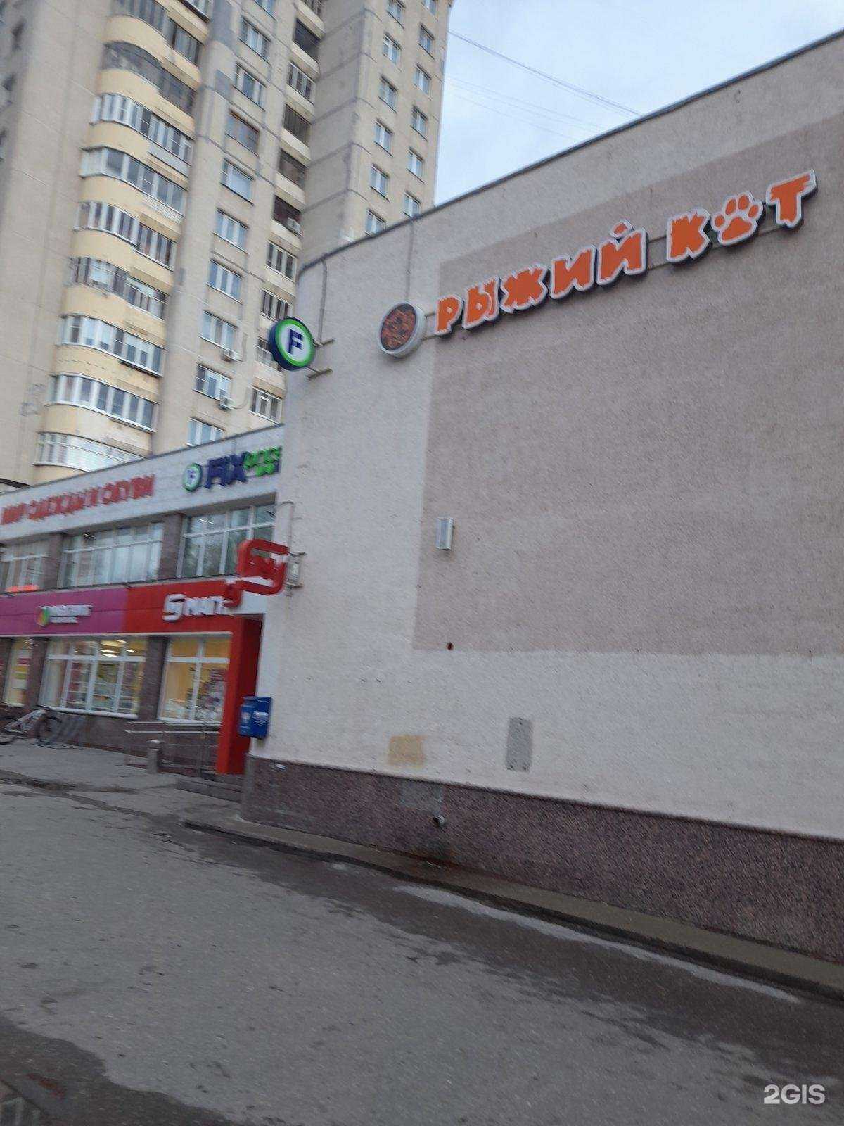 Отзывы на компанию Рыжий кот в Чебоксарах c фото