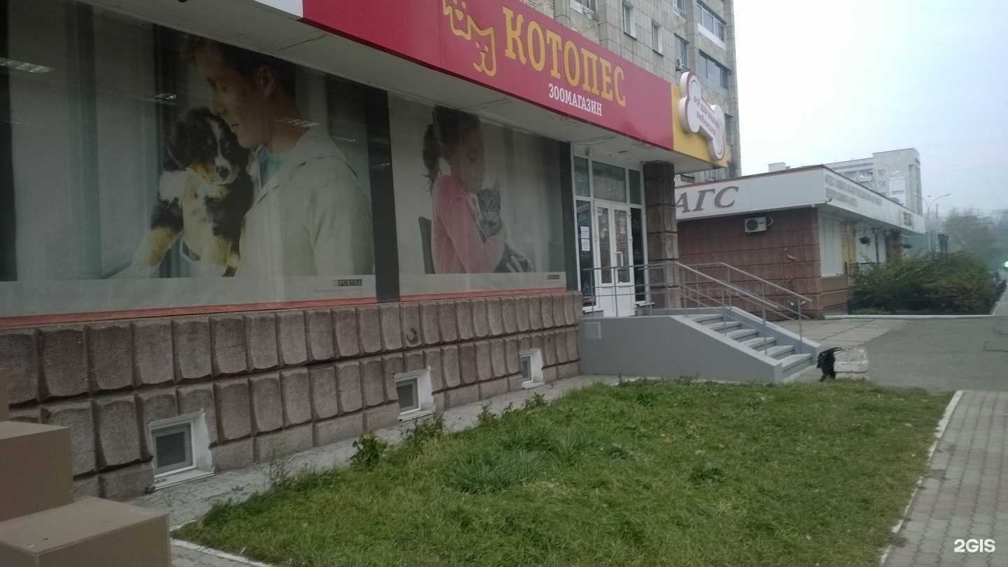 Отзывы на компанию Котопес в Комсомольске-на-Амуре c фото