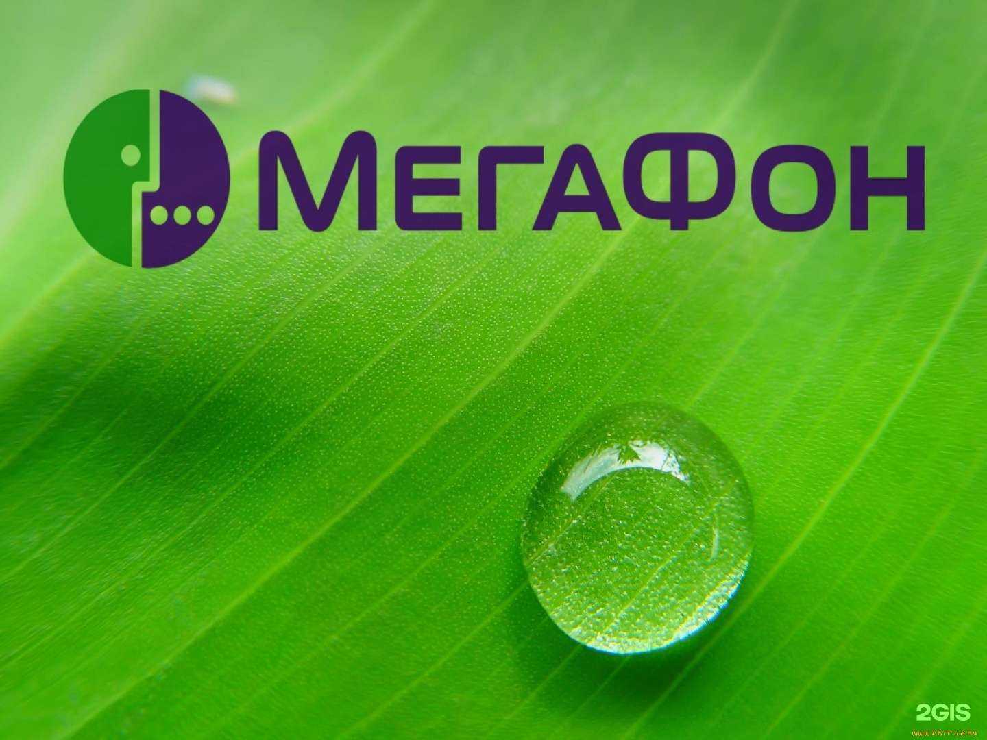 Отзывы на компанию МегаФон-Yota в г. Барнаул c фото