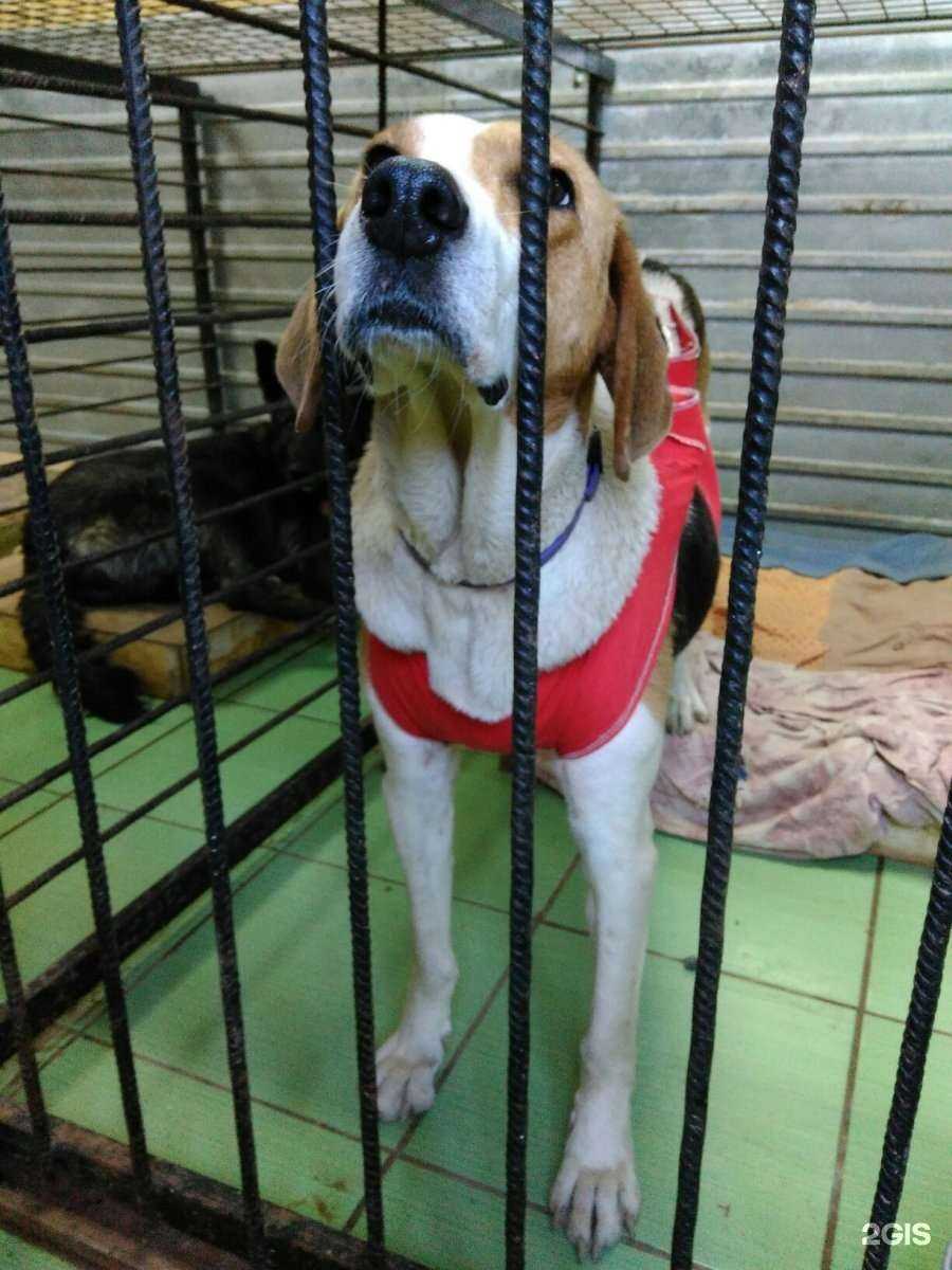 Отзывы на компанию Стерилка плюс в Великом Новгороде c фото