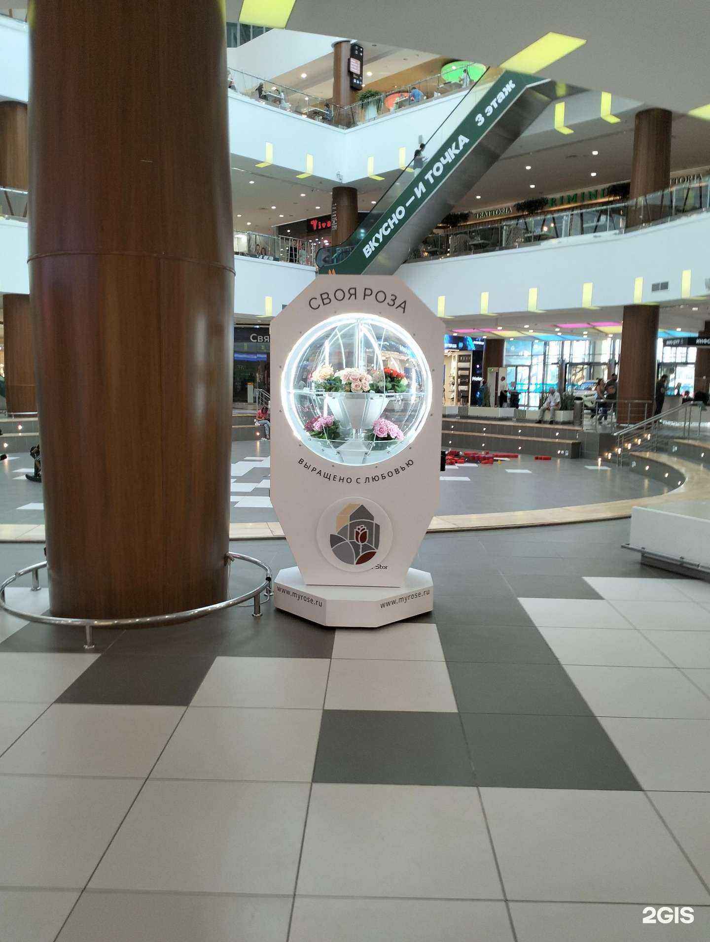 Отзывы на компанию Своя роза в Волгограде c фото