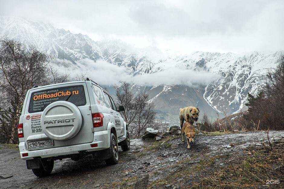 Отзывы на компанию Надежда в Оренбурге c фото