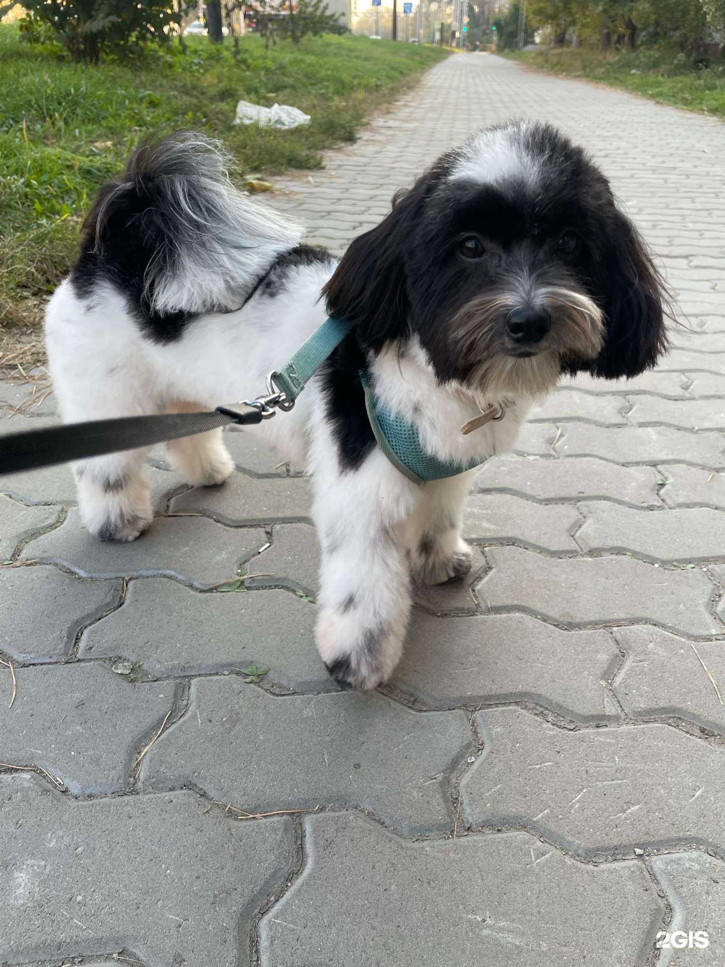 Отзывы на компанию ФелИс в Хабаровске c фото