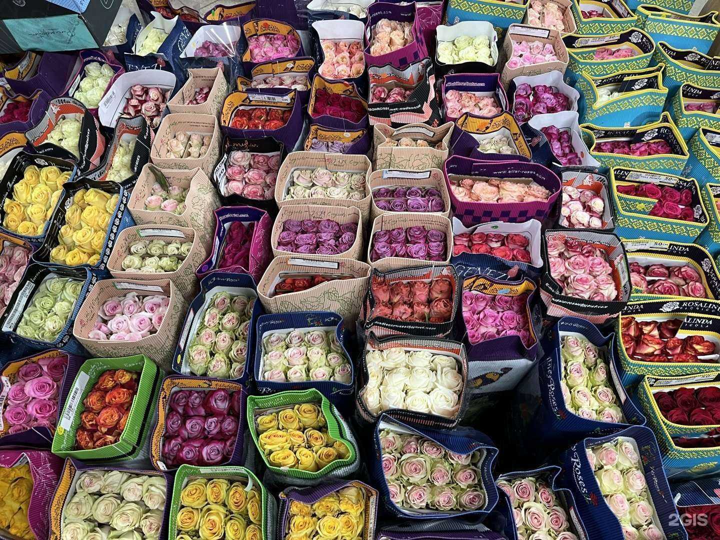 Отзывы на компанию Флора опт в Ярославле c фото