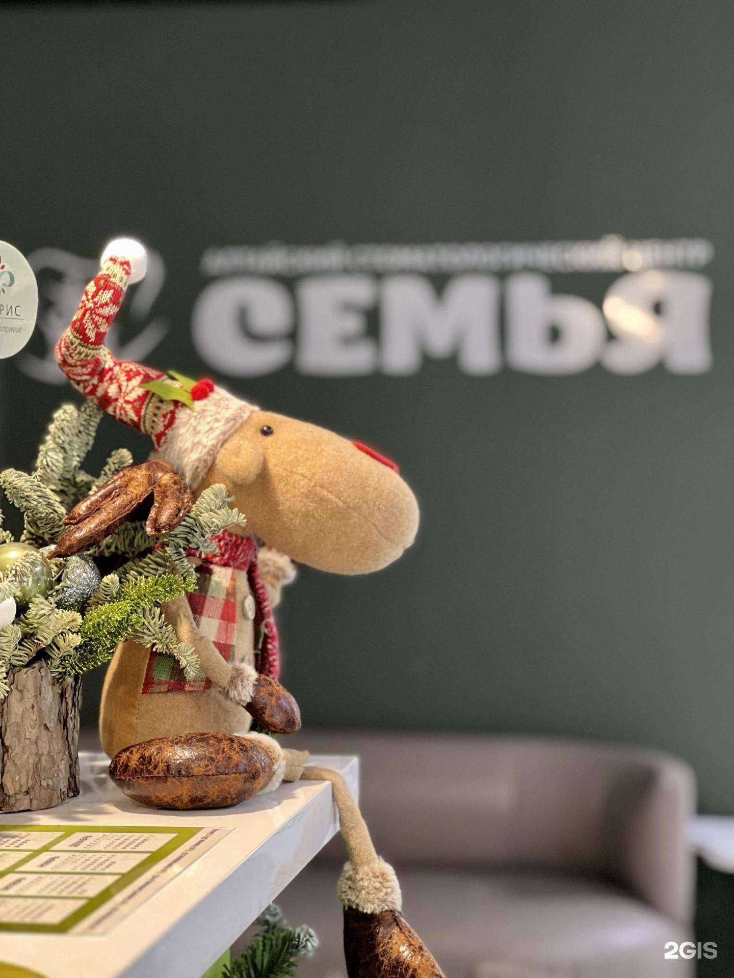 Отзывы на компанию Семьядент в г. Барнаул c фото