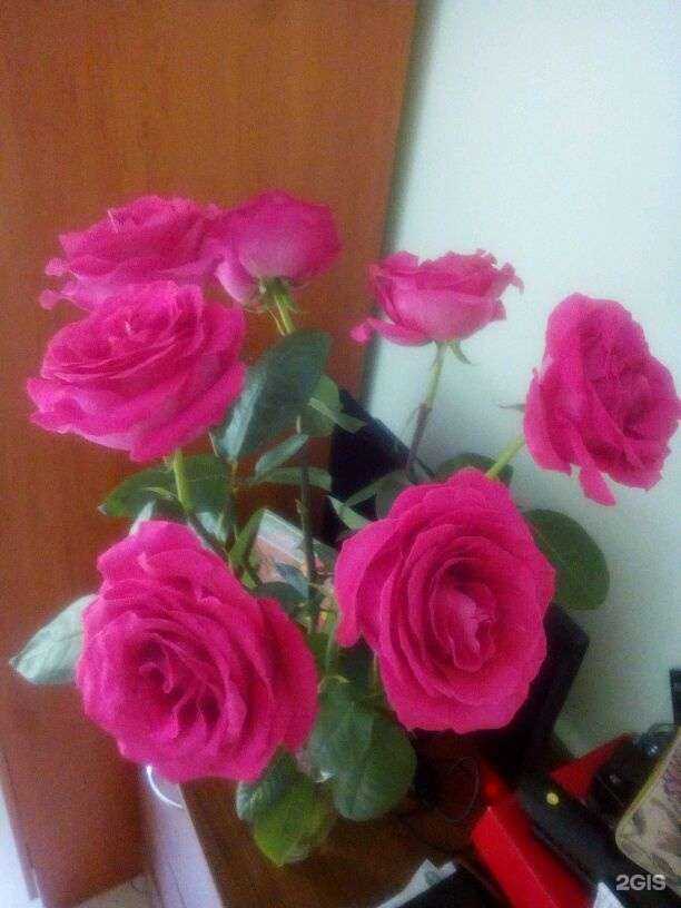 Отзывы на компанию Флора в Екатеринбурге c фото