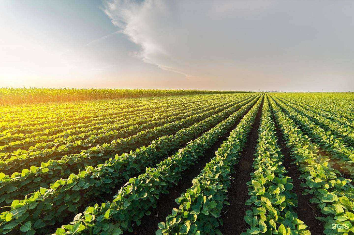 Отзывы на компанию Партнер в Нижнем Новгороде c фото