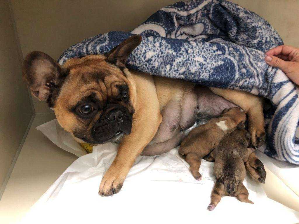 Отзывы на компанию Ветландия в Новороссийске c фото