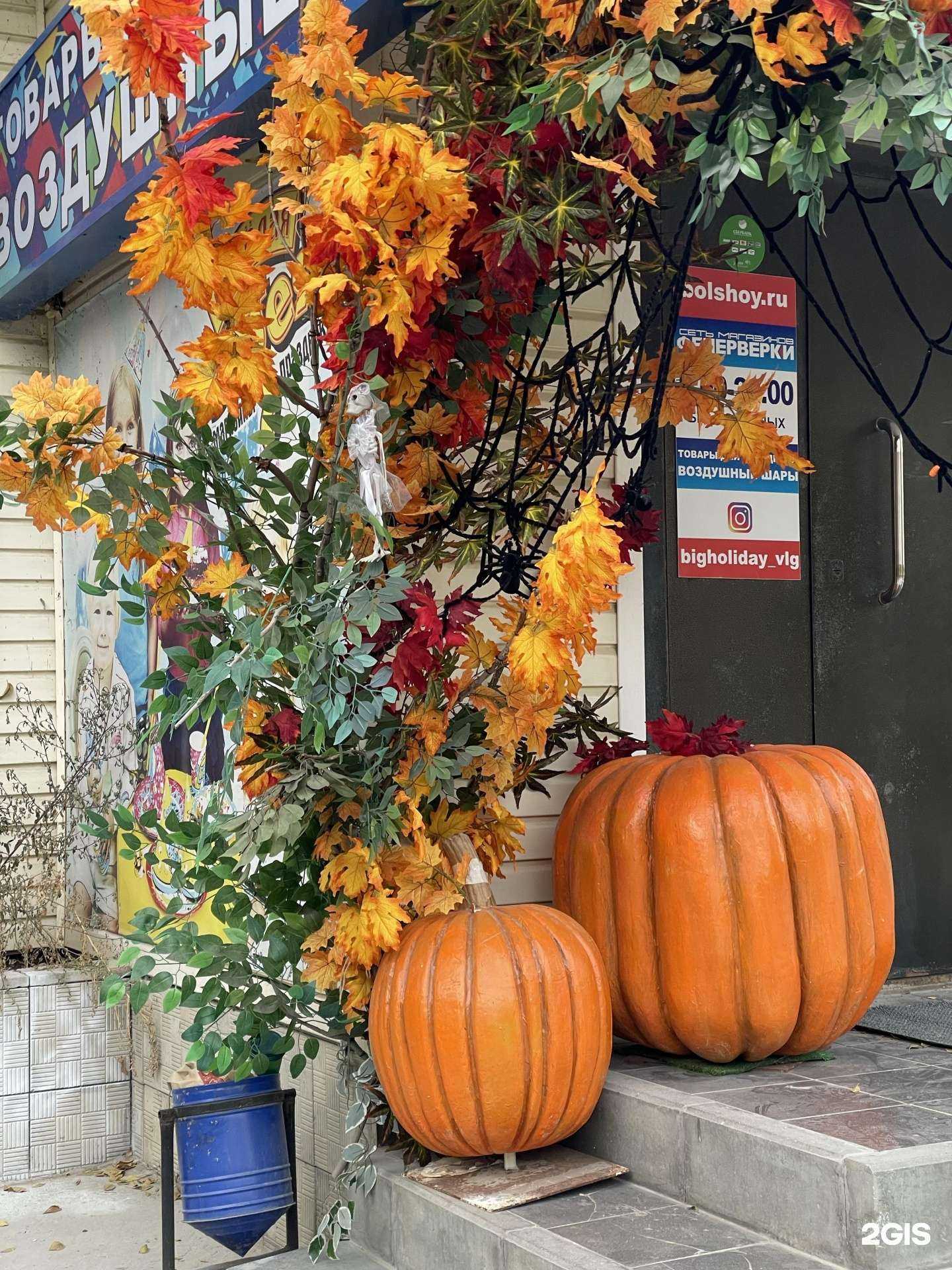 Отзывы на компанию Большой праздник в Волгограде c фото