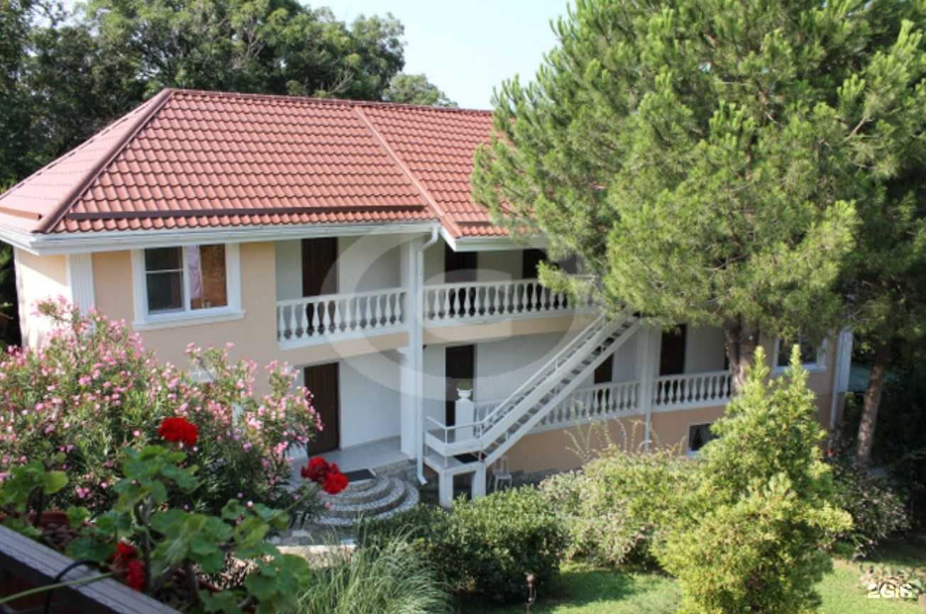 Отзывы на компанию Алиса в Сочи c фото