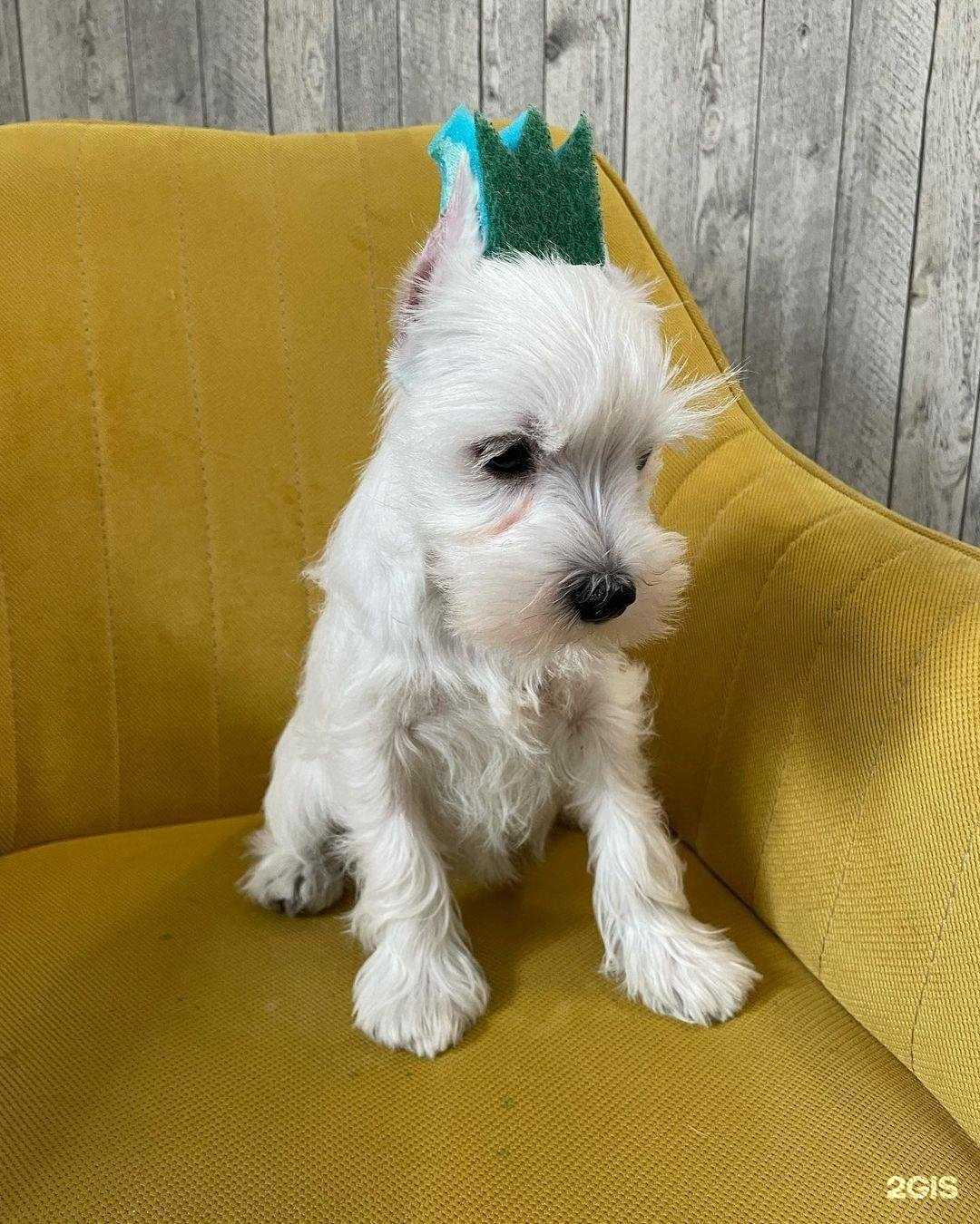 Отзывы на компанию ГруМи в г. Уфа c фото