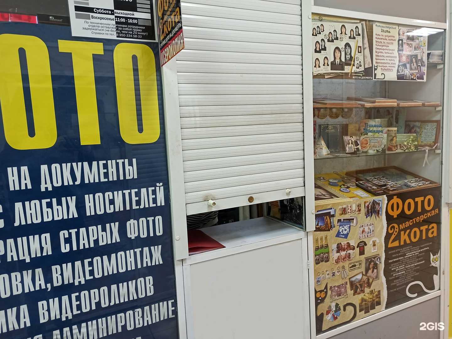 Отзывы на компанию 2кота в г. Омск c фото