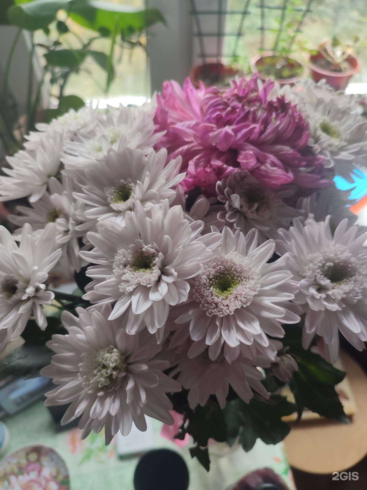 Отзывы на компанию Магазин цветов в г. Химки c фото