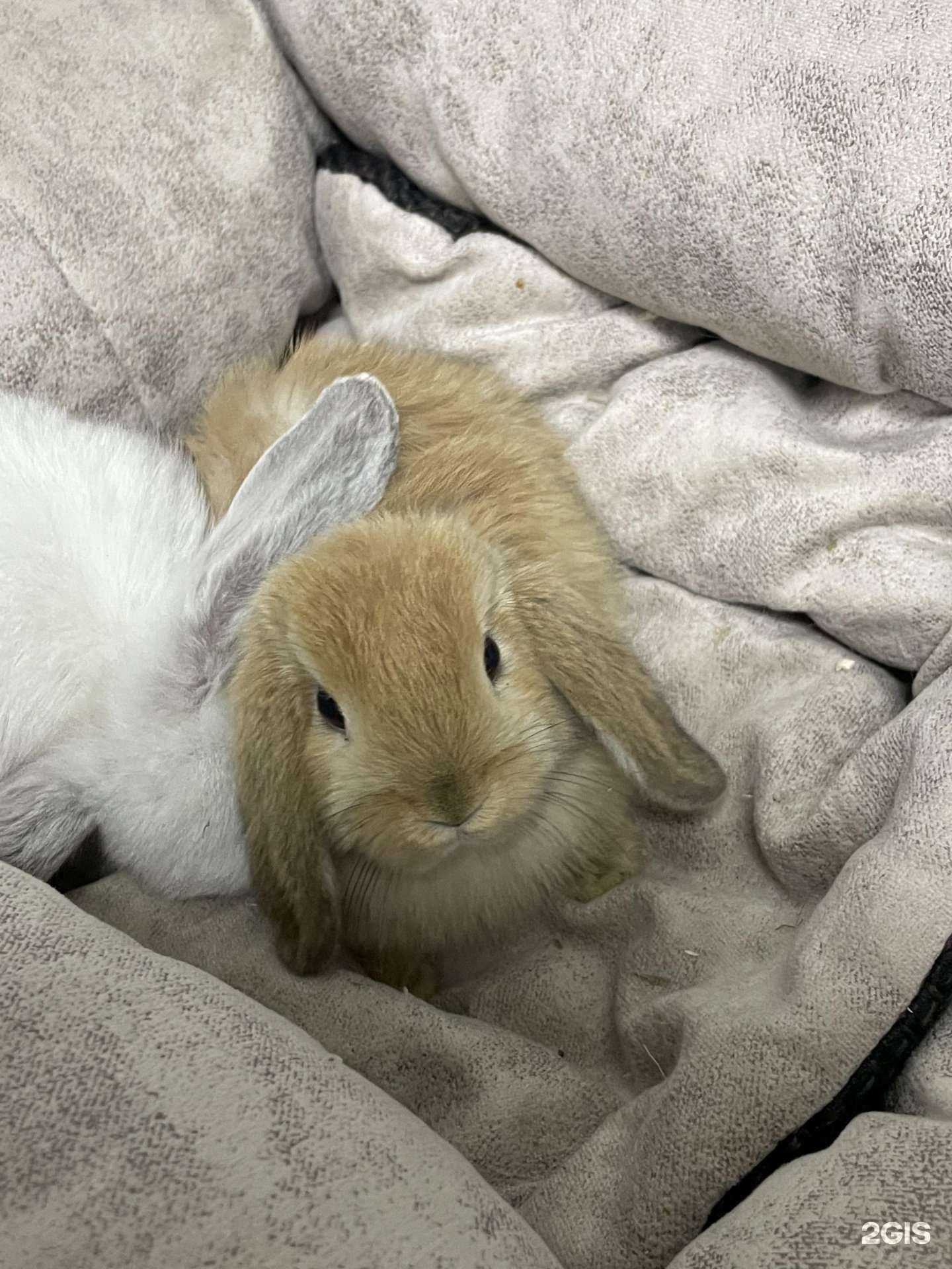 Отзывы на компанию Ковчег в г. Тюмень c фото