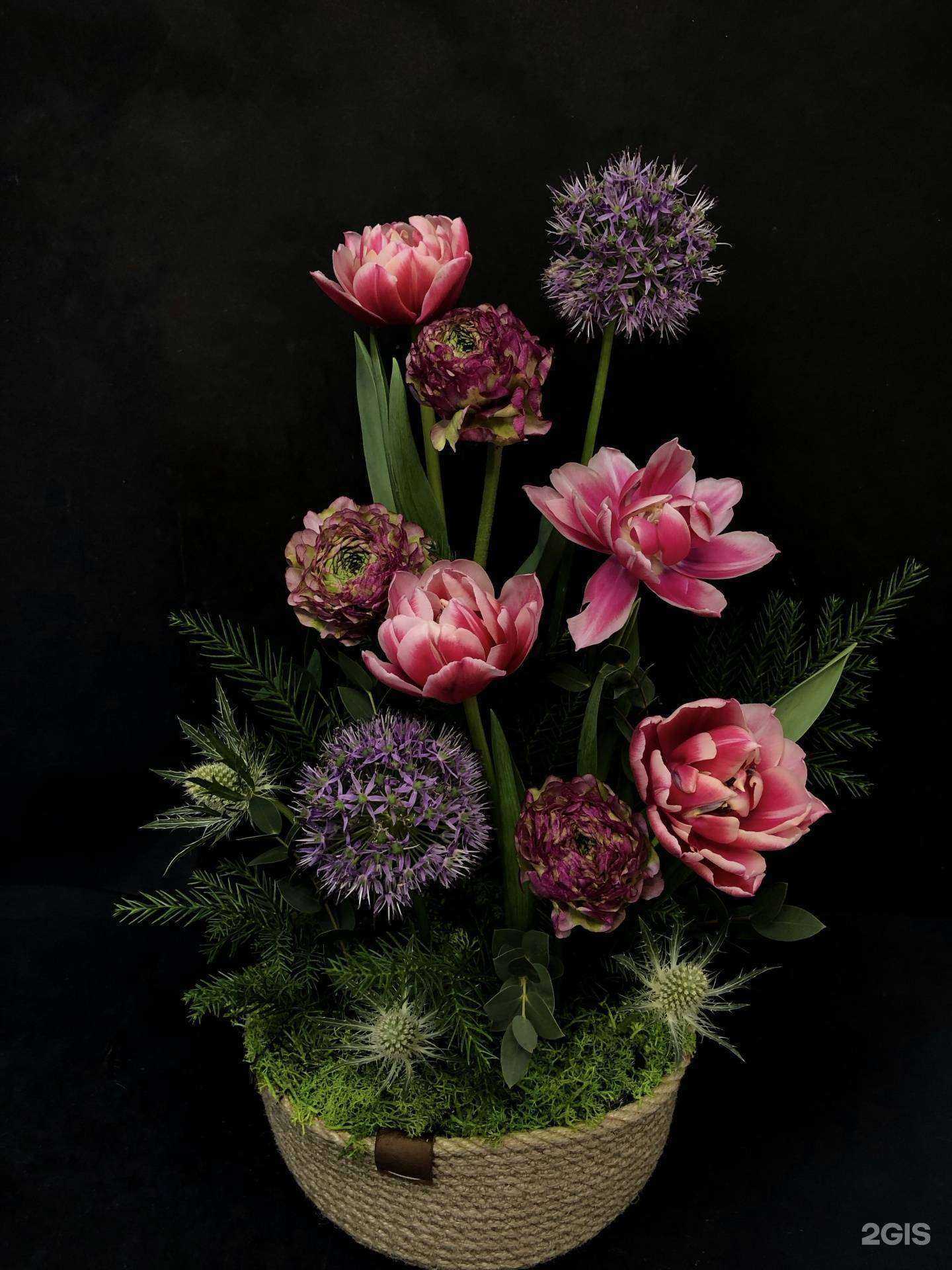 Отзывы на компанию Masho в Красноярске c фото