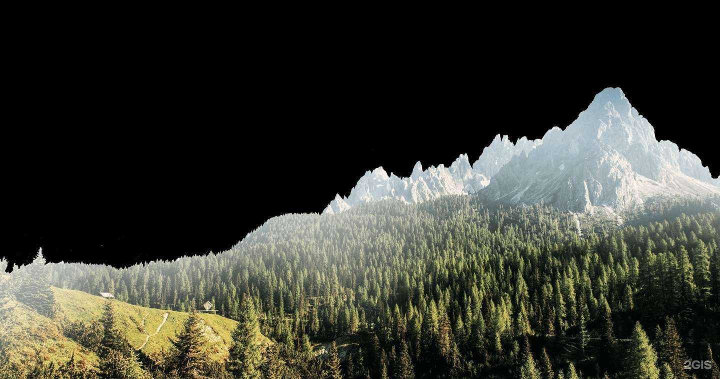 Отзывы на компанию Рослесинфорг в г. Вологда c фото