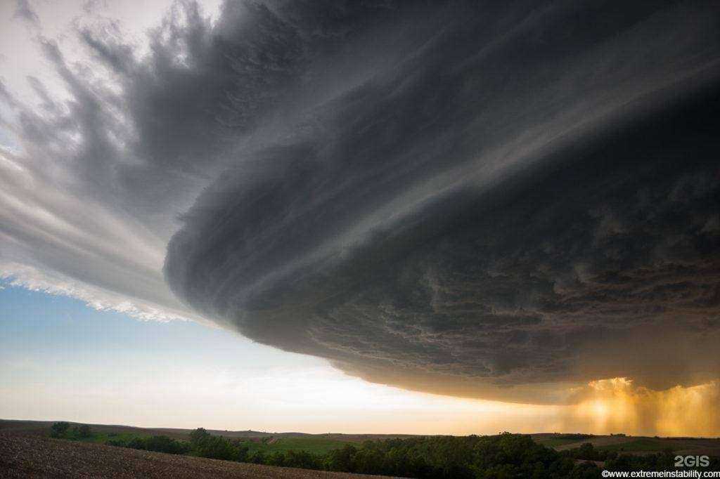 Отзывы на компанию Интеграл в Томске c фото