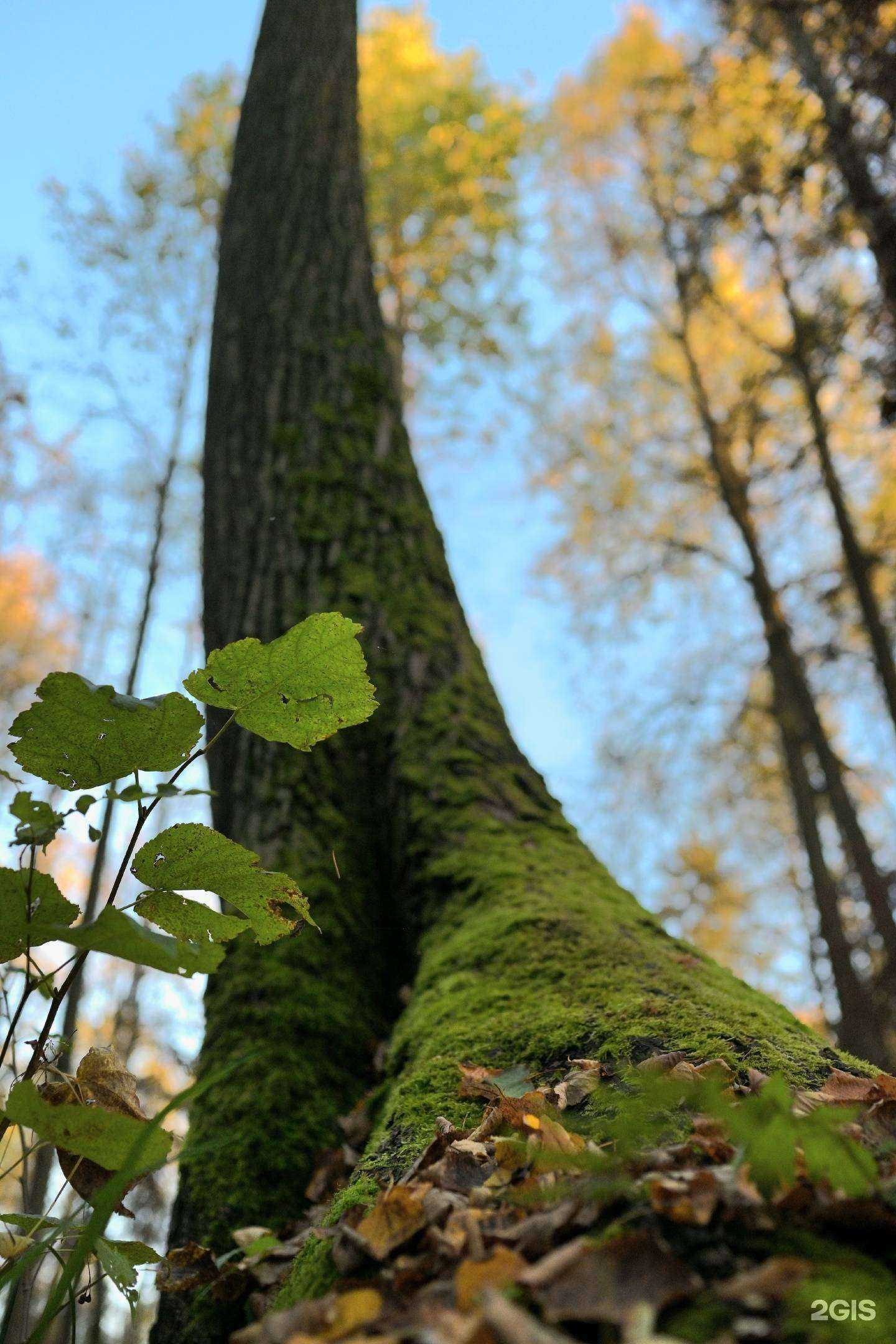 Отзывы на компанию Южный в Перми c фото
