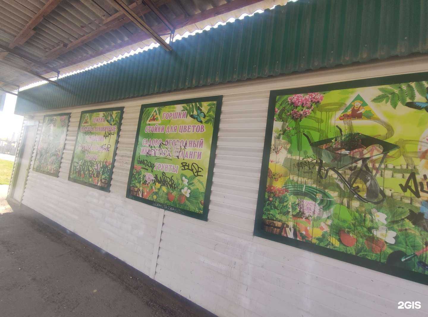 Отзывы на компанию Розалия в Балакове c фото - фотография 2 из 2