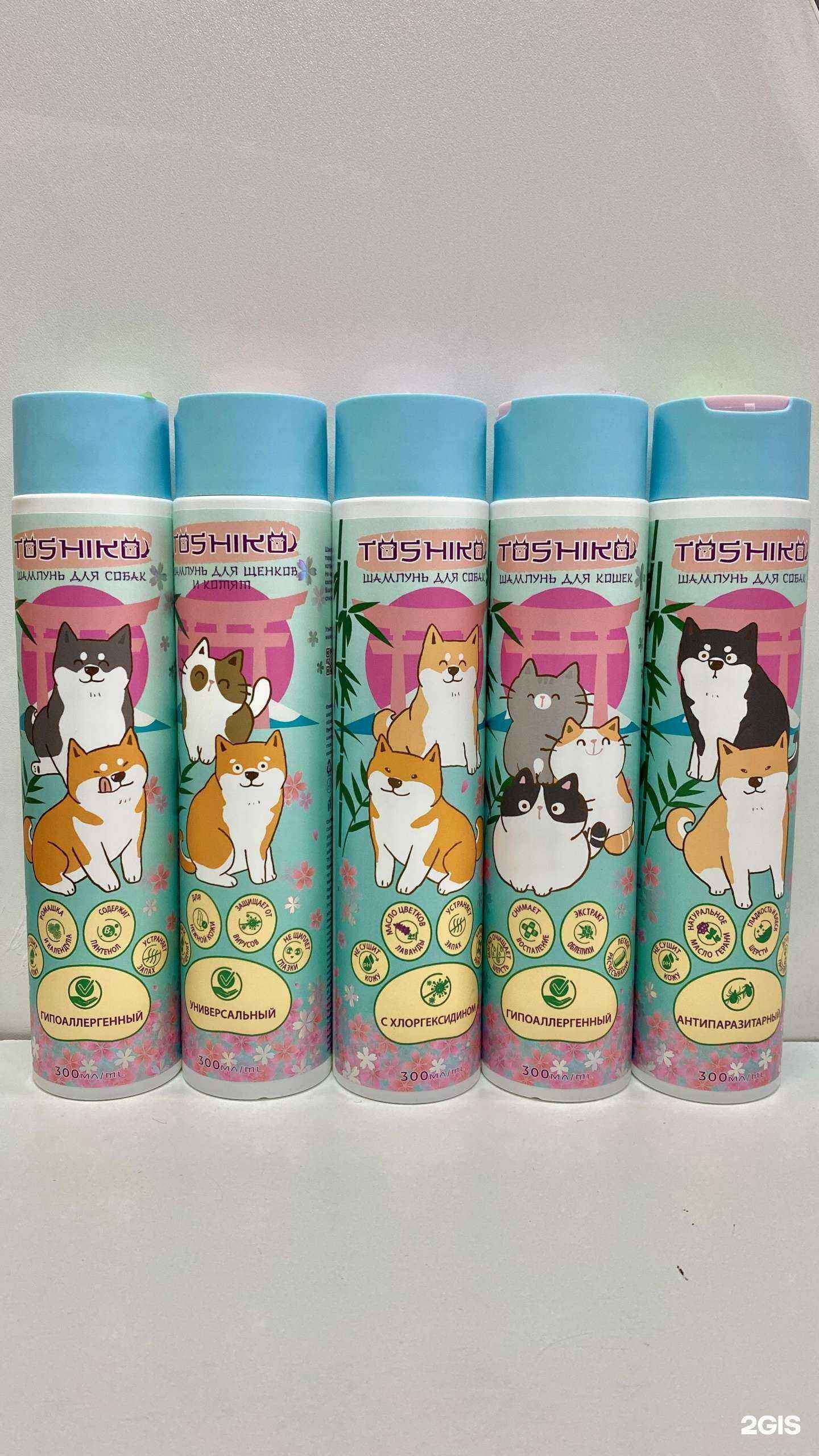 Отзывы на компанию Кот да Винчи в Уфе c фото