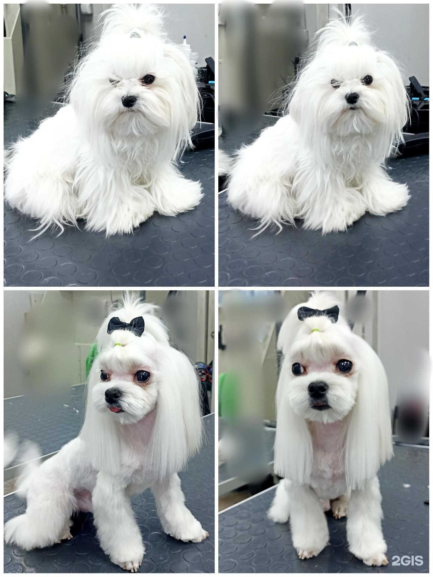 Отзывы на компанию Брадобрей в Уфе c фото