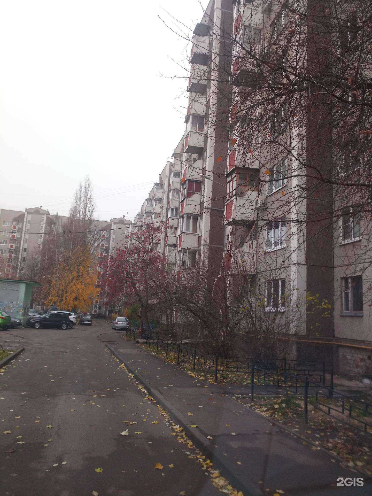 Отзывы на компанию Кросы_Vrn в Воронеже c фото - фотография 2 из 2