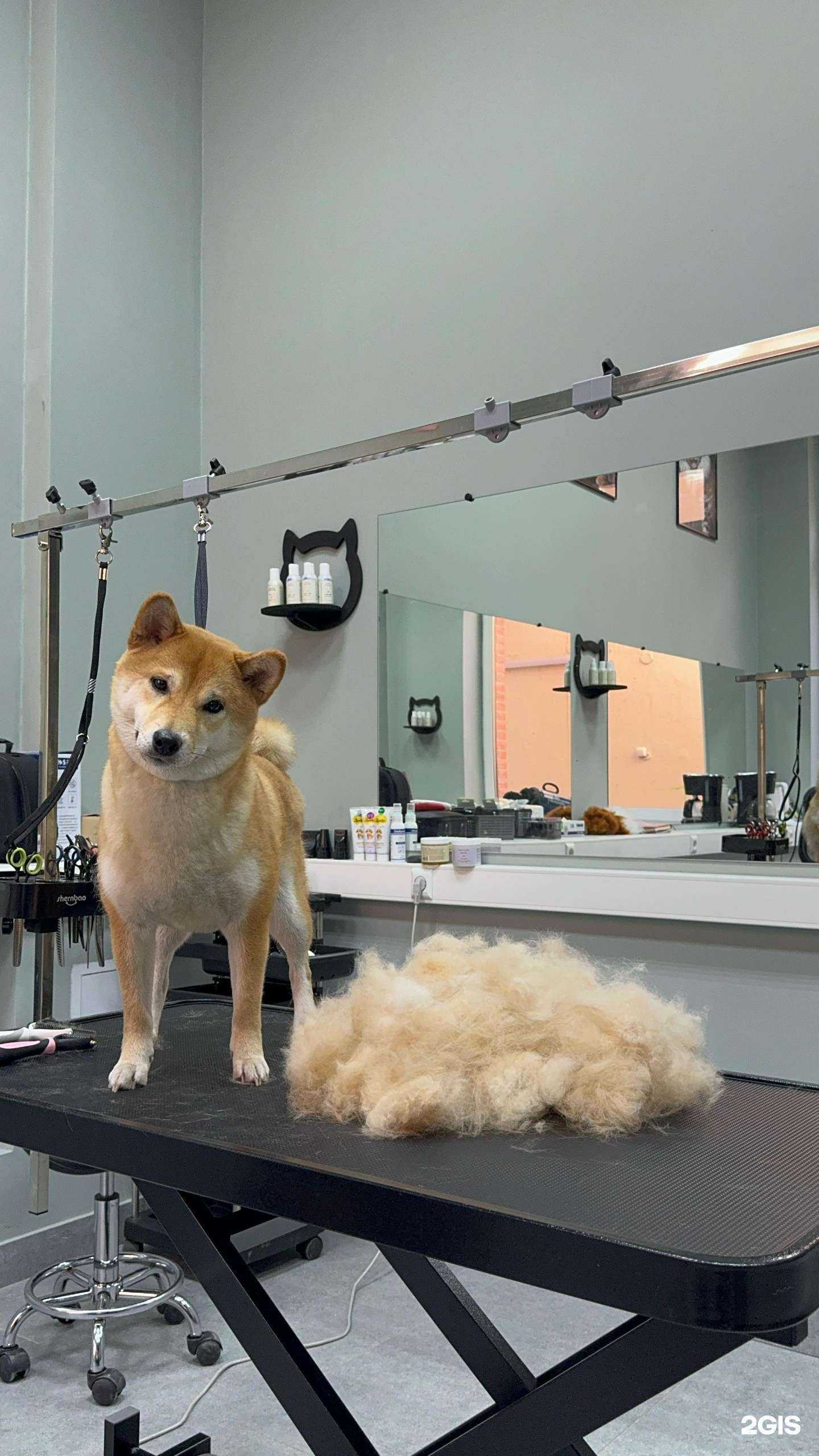 Отзывы на компанию Yukki Style в Иркутске c фото