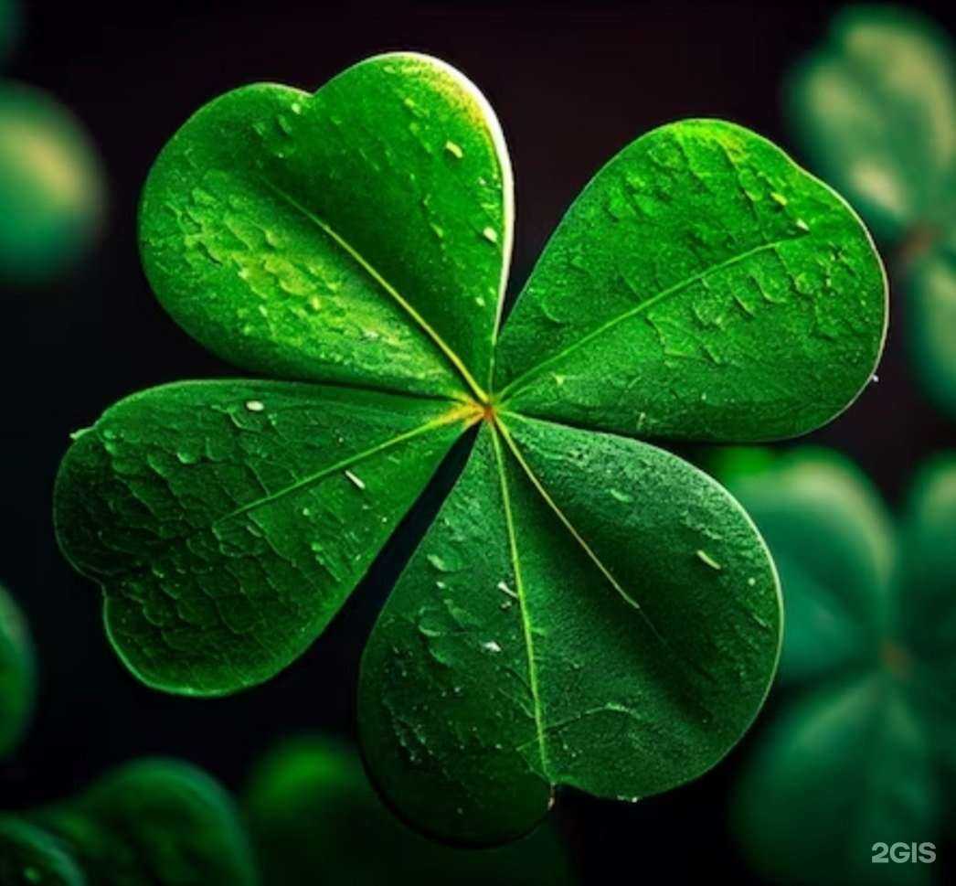 Отзывы на компанию Клевер в Уфе c фото