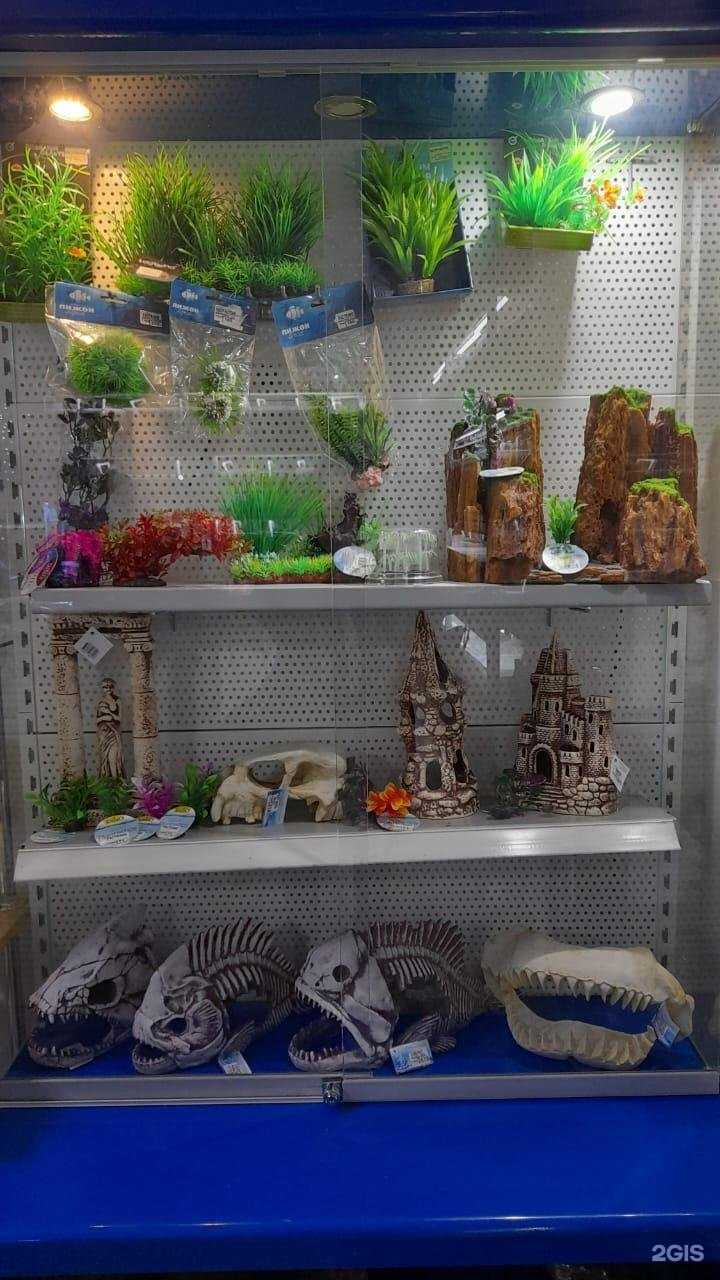 Отзывы на компанию Аквамагия в Комсомольске-на-Амуре c фото