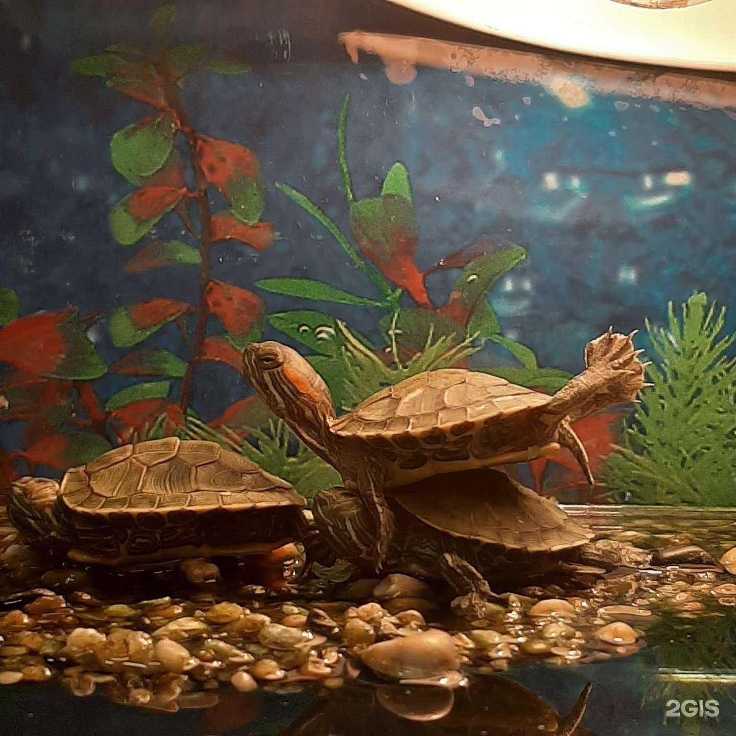 Отзывы на компанию Природа в г. Екатеринбург c фото